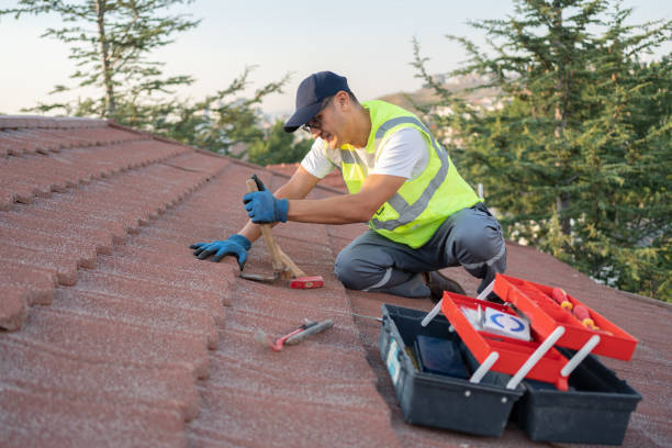 Best Residential Roofing Contractor  in St Francis, KS